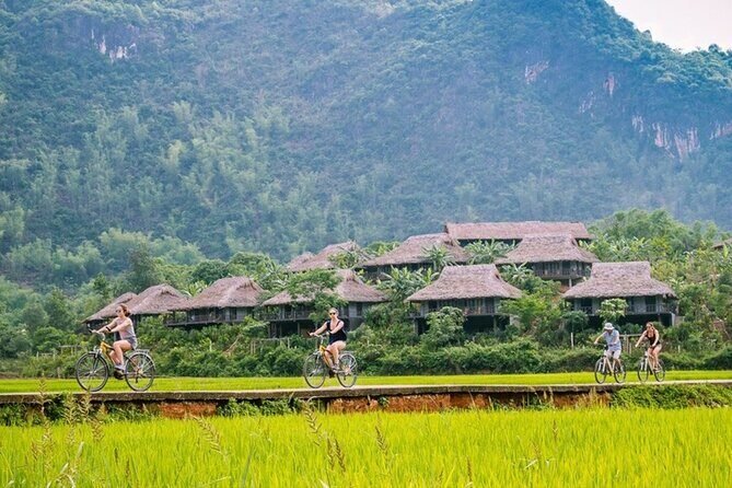 10-Day North Vietnam Cycling Adventure: From the Highland Tea Plantations of Moc Chau to the Limestone Karsts of Ha Long Bay